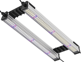 Mojo cow PS-1 Light System - LED