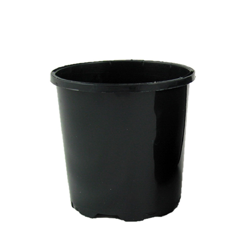 Black Pot